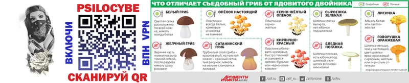 Псилоцибиновые грибы мицелий  Майский 