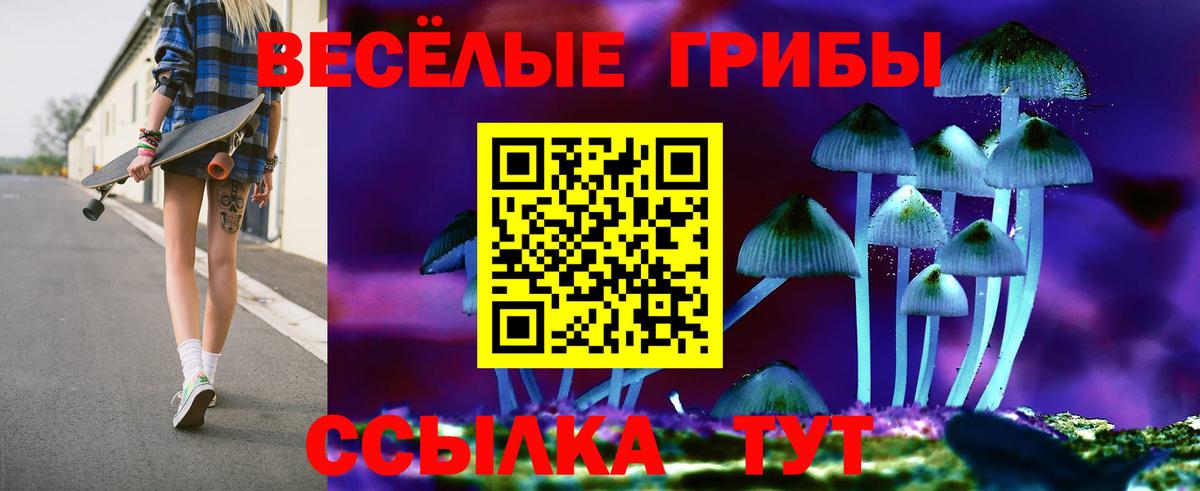 продажа наркотиков  Вход с VPN  Псилоцибиновые грибы Cubensis  Майский  Псилоцибиновые грибы Psilocybe 
